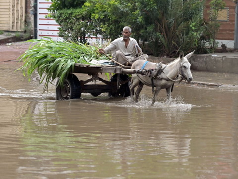 Pakistan: 54 morts en 24h dans des pluies en pleine mousson
