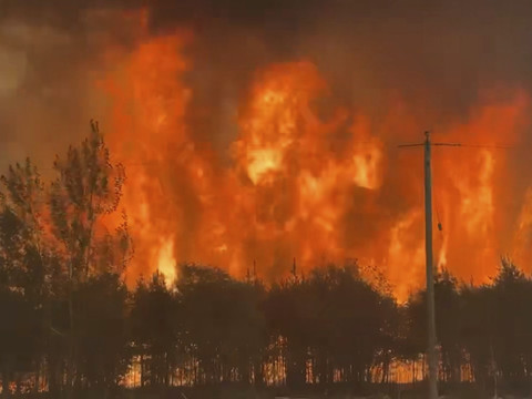 Canada: Six millions d'hectares brûlés par les feux de forêt