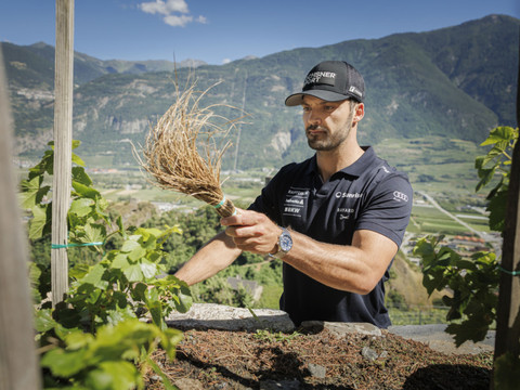 Saillon: Loïc Meillard a traité la Vigne à Farinet
