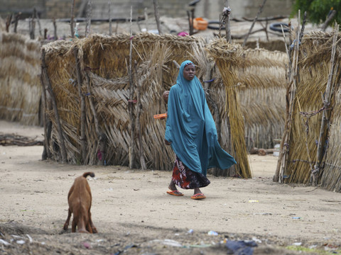 Nigeria : plus de 600 enfants morts de malnutrition