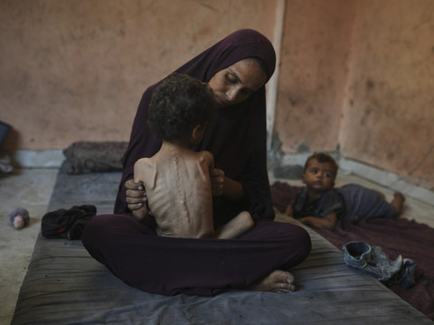 L'aide commence d'arriver à Gaza - Pause des combats annoncée