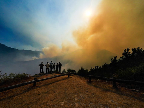 Le Portugal et l'Espagne mobilisés face aux feux de forêt