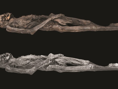 Une momie glaciaire révèle l'artisanat du tatouage préhistorique