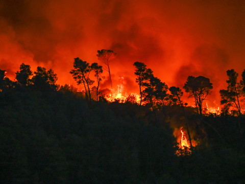 Sud de la France: journée décisive pour combattre le plus gros incendie de l'été