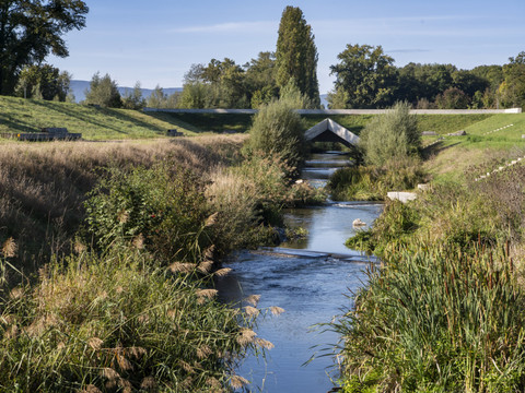 Piètre qualité des rivières pour les poissons