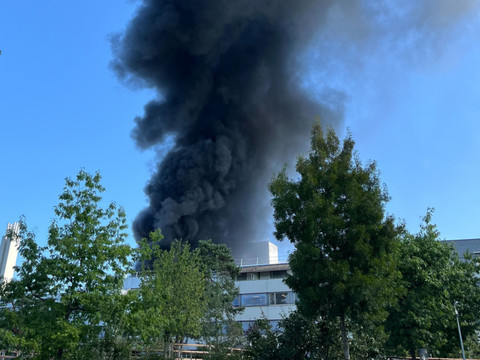 Un bâtiment de l'hôpital vétérinaire à Berne détruit par le feu