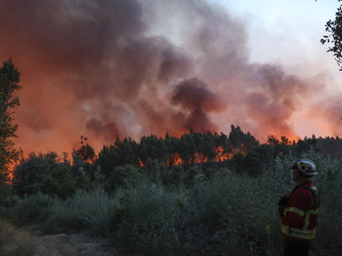 Feux de forêt: plus de 700 pompiers mobilisés samedi au Portugal