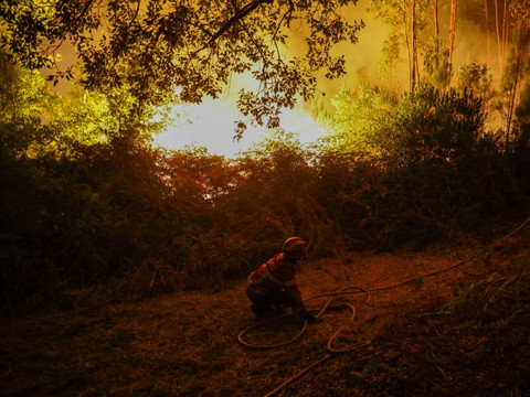 L'incendie au Portugal désormais sous contrôle