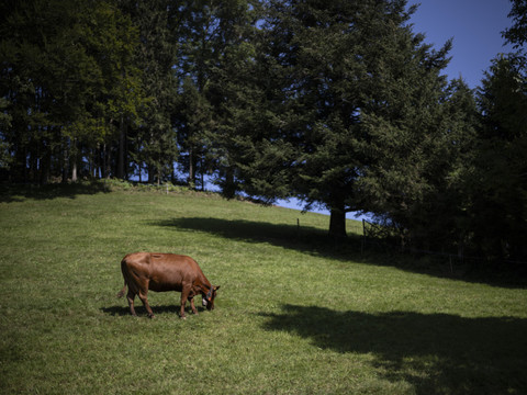 Le Parlement demande des valeurs limites pour les PFAS
