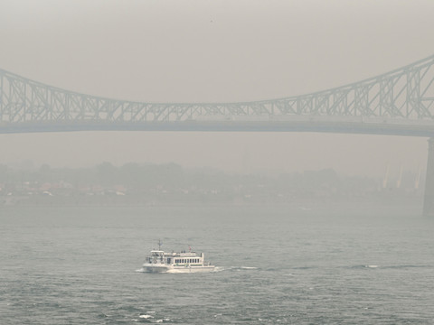 Des milliers de morts après les incendies géants au Canada en 2023