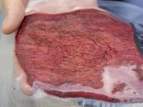Viande de synthèse: une firme israélienne s'implante à Kemptthal ZH