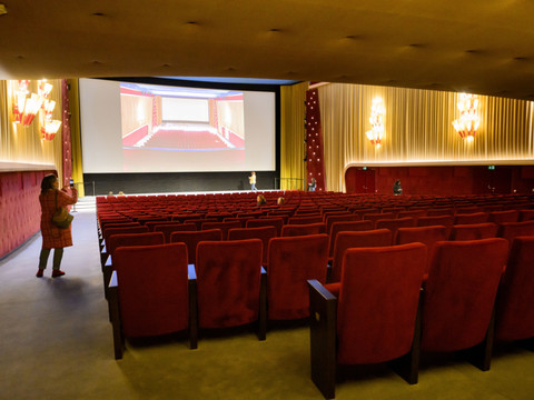 Baisse importante de fréquentation lors de la Journée du cinéma