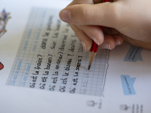 St-Gall veut aussi reléguer le français à l'école secondaire