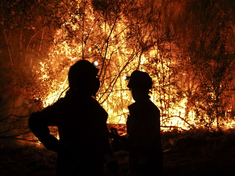 Emissions de carbone record en Europe suite aux incendies de l'été