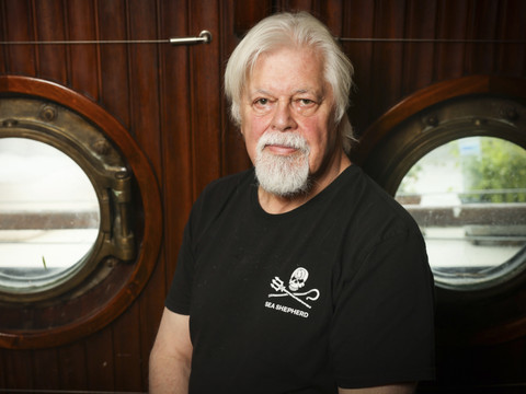 La France refuse l'asile politique au militant écolo Paul Watson