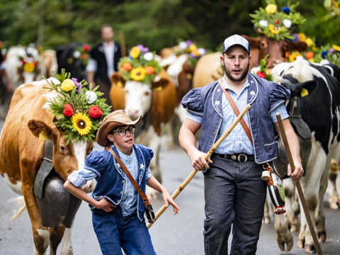 Les troupeaux sont redescendus à Planfayon (FR)