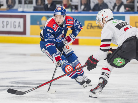 Rohrer de retour chez les Zurich Lions