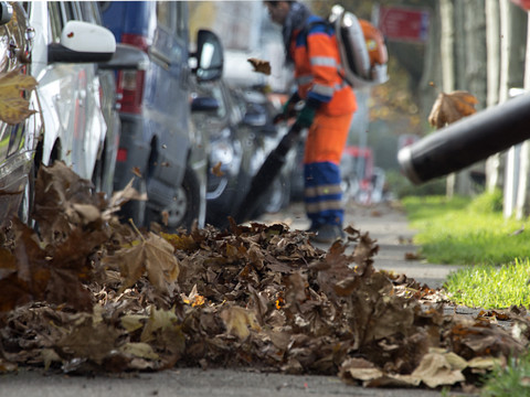 La ville de Zurich interdit les souffleuses à feuilles à essence