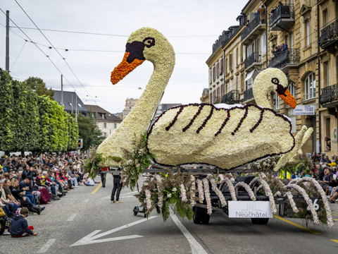 Franc succès pour le corso fleuri de la Fête des vendanges (NE)