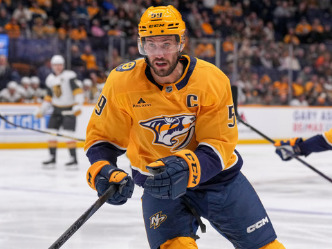 Josi, Niederreiter et les 