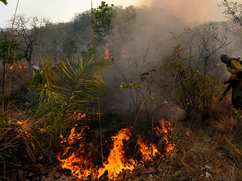 Augmentation record des concentrations de CO2 l'année dernière