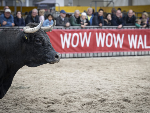 Pas moins de 335'000 personnes à la foire agricole de St-Gall