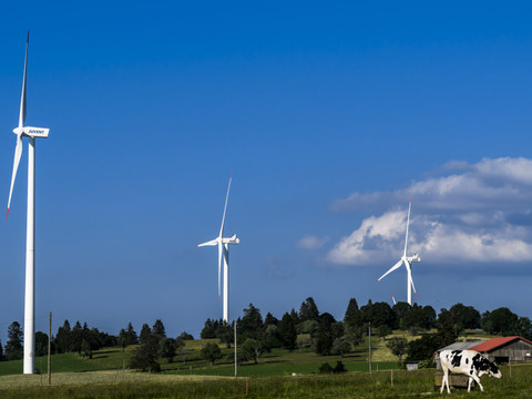 Le Conseil fédéral rejette deux initiatives anti-éoliennes