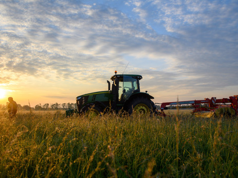 Les dommages de la grêle sur l'agriculture divisés par deux en 2025