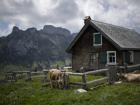 Des masses rocheuses s'effondrent dans l'Alpstein appenzellois