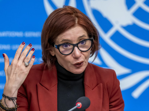 Les forêts de l'hémisphère nord grandissent mais sont menacées