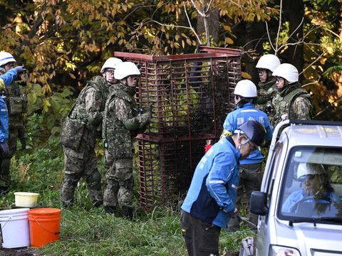 Japon: les policiers autorisés à abattre des ours