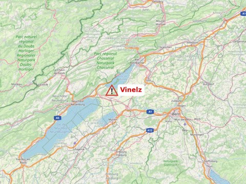 Grippe aviaire détectée chez une oie sauvage à Vinelz (BE)