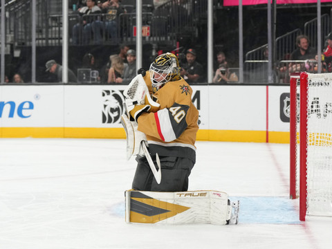 Vegas subit la loi des Ducks en prolongation