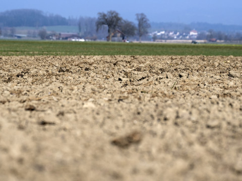 Climat: les Vert-e-s exigent un sommet et des mesures contraignantes