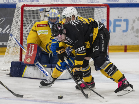 Gauthier reste à Ajoie, Schmutz prolonge à Langnau