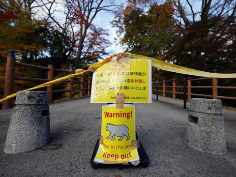 Les policiers japonais désormais autorisés à tirer sur des ours