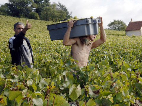 France: les clients asiatiques sauvent les enchères de Beaune
