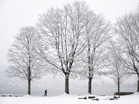 MétéoSuisse prévoit un hiver doux malgré certains phénomènes