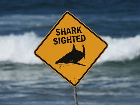 Une Suissesse tuée dans une attaque de requin en Australie