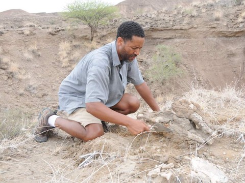 Un pied fossilisé met en lumière l'Australopithecus deyiremeda