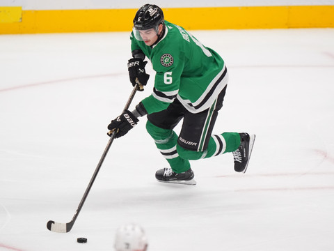 NHL: au moins six à huit semaines d'absence pour Bichsel