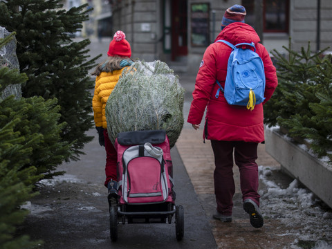 Un peu moins de deux millions de sapins de Noël vendus chaque année