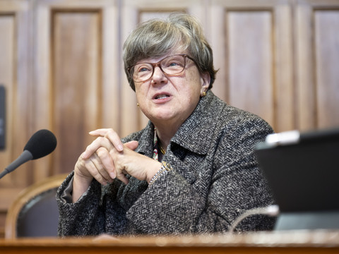 Le Parlement s'oppose à la fin des adoptions internationales