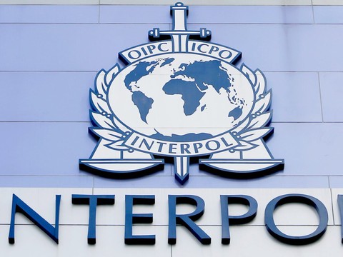 Le trafic d'animaux vivants a atteint de nouveaux records