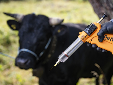 France: agriculteurs mécontents de la stratégie face à la DNC