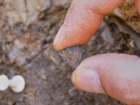 La plus ancienne preuve de maîtrise du feu trouvée au Royaume-Uni