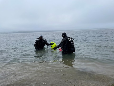 Des dizaines de plongeurs nettoient la rive droite du lac de Thoune