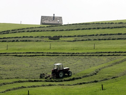Le National insiste sur une autorisation facilitée des pesticides