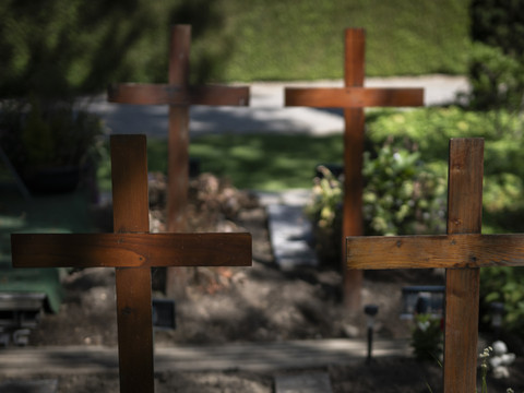 Les maladies cardiovasculaires sont la première cause de mortalité