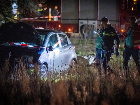 Pays-Bas: une voiture fonce dans la foule, neuf blessés
